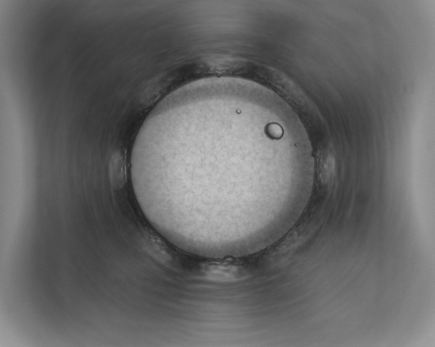 X0000110740471200906290951