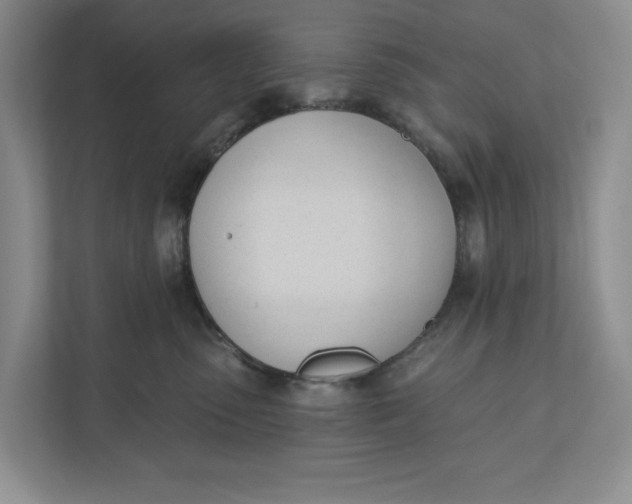 X0000110740475200906290951