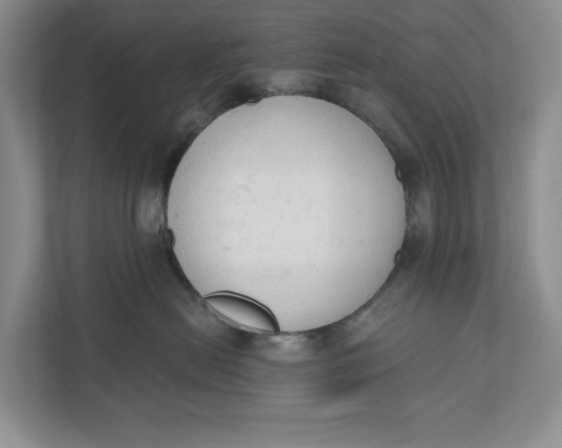 X0000110740478200906290952