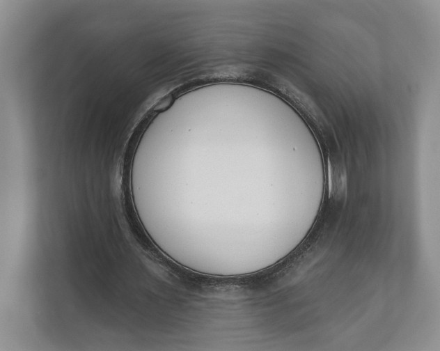 X0000110740483200906290951