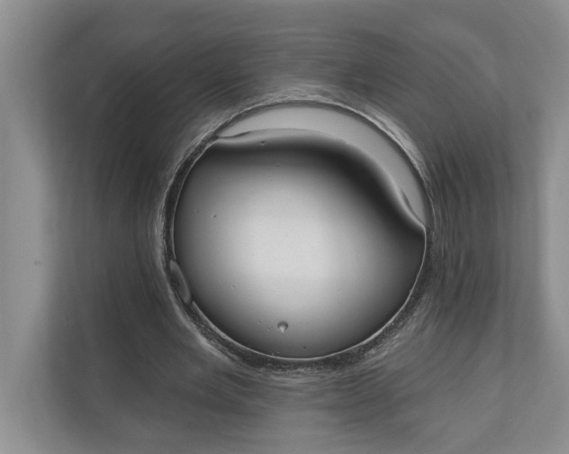 X0000110740485200906290951