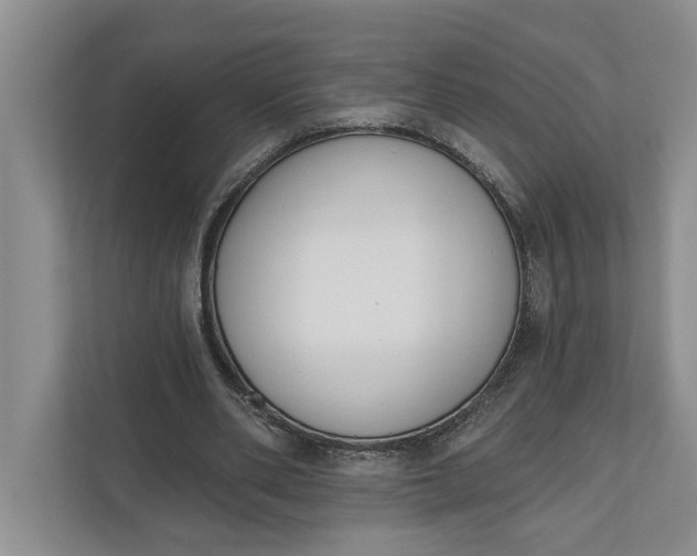 X0000110740486200906290951