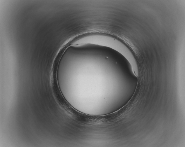 X0000110740488200906290951