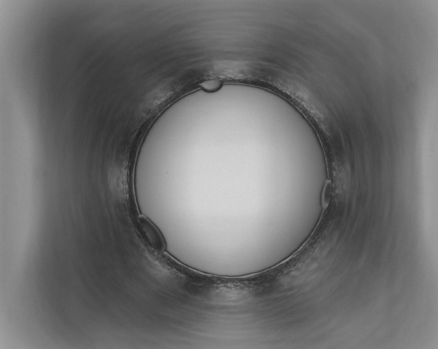 X0000110740489200906290951