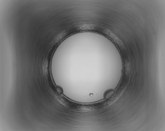 X0000110740490200906290951