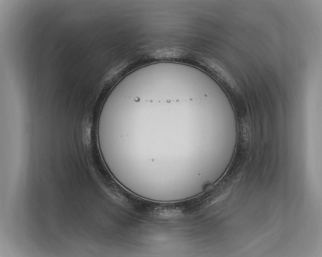 X0000110740491200906290951