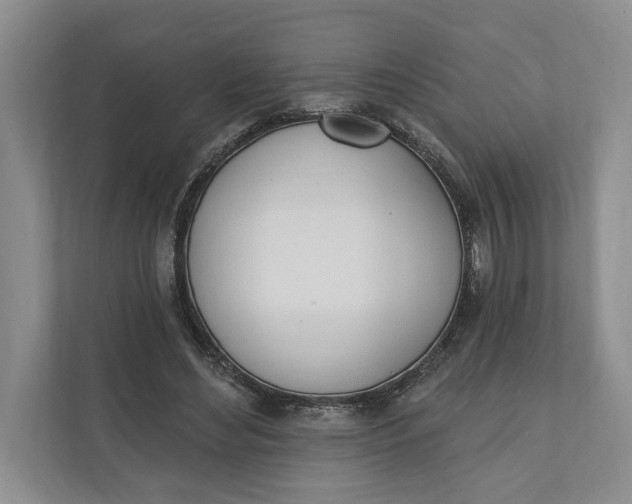 X0000110740492200906290951