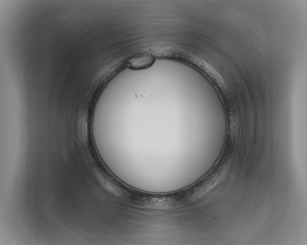 X0000110740493200906290951