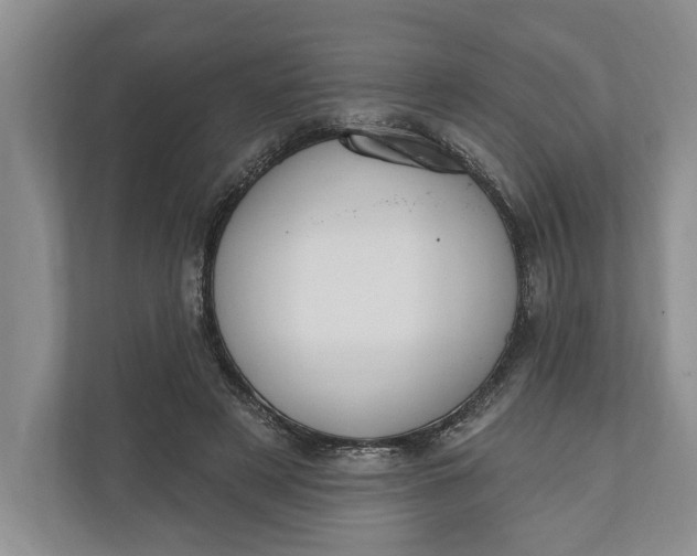 X0000110740497200906290951