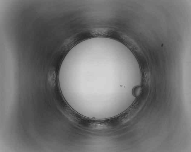 X0000110740498200906290951