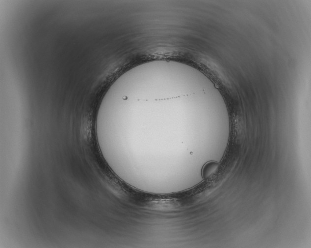 X0000110740499200906290951