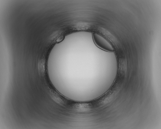 X0000110740501200906290951