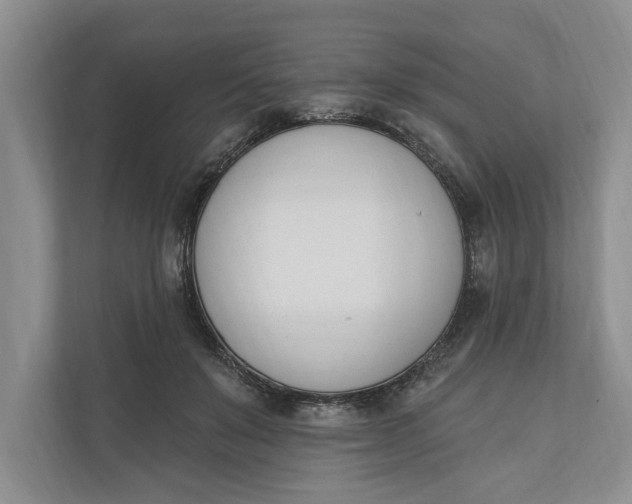 X0000110740503200906290951