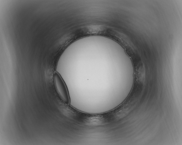 X0000110740505200906290951