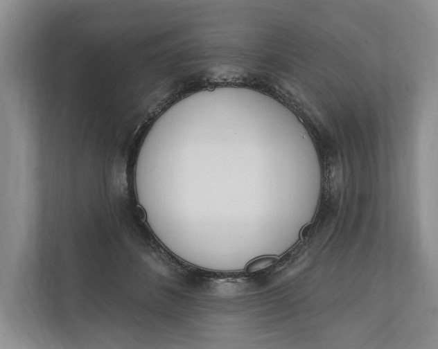 X0000110740508200906290951