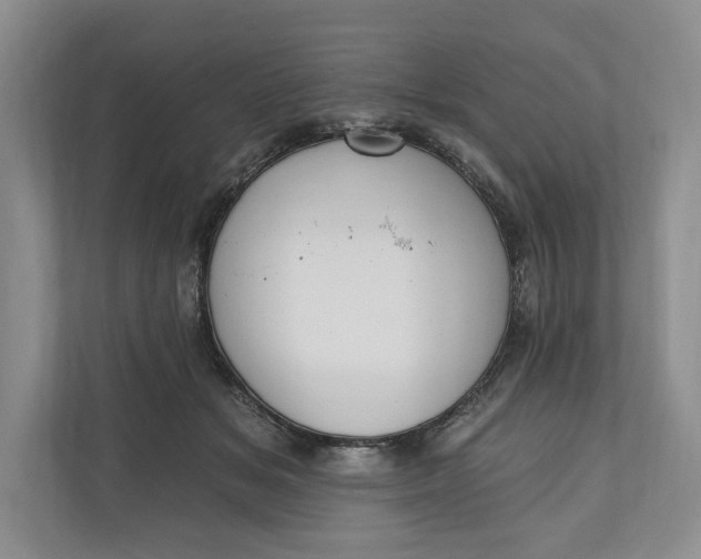 X0000110740509200906290951