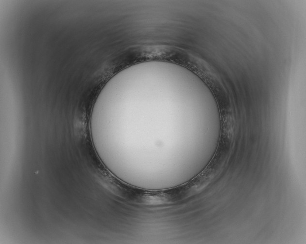 X0000110740510200906290951