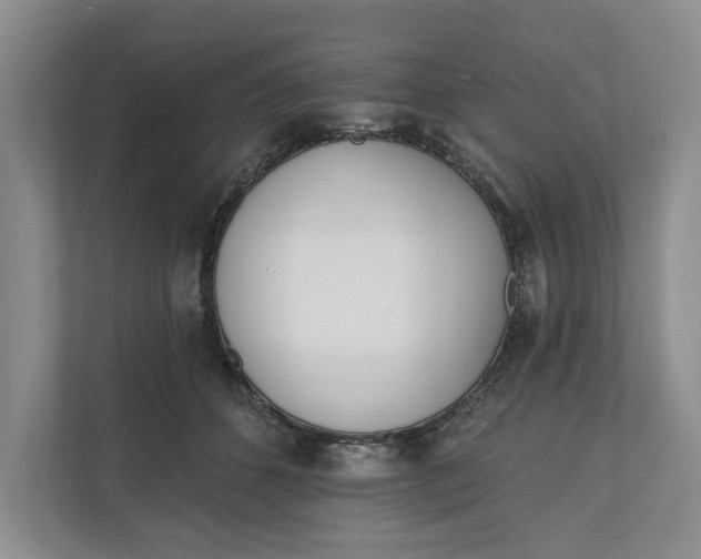 X0000110740512200906290951