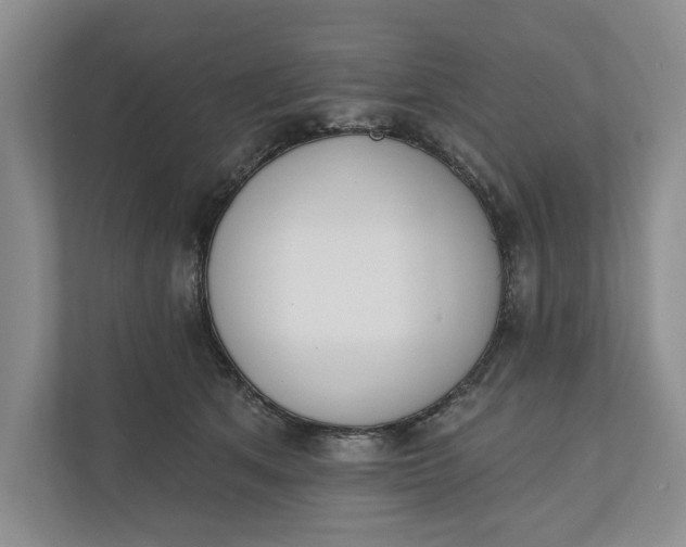 X0000110740513200906290951