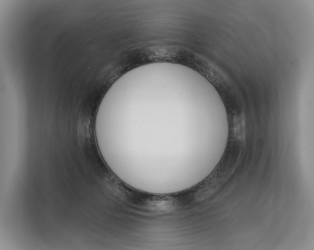 X0000110740514200906290951