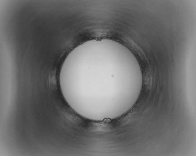 X0000110740516200906290950