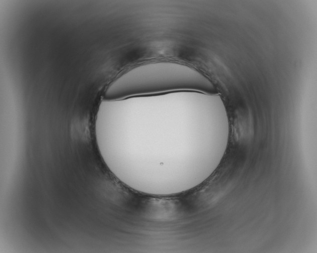 X0000110740520200906290950