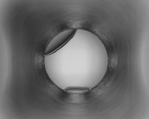 X0000110740521200906290950