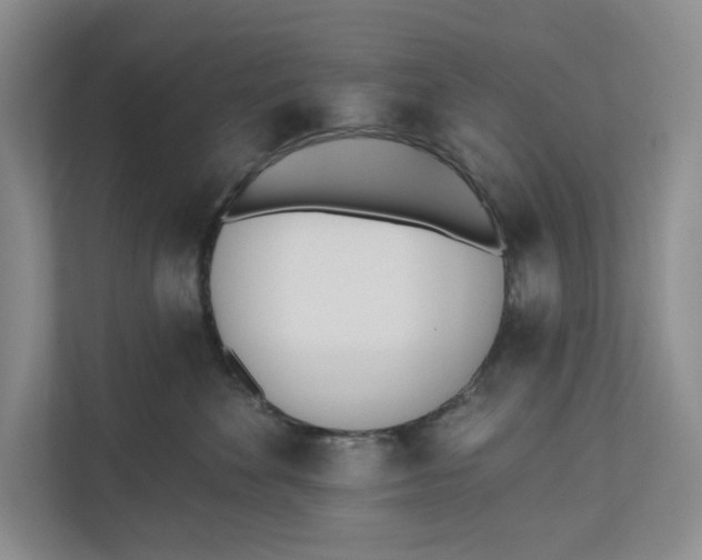 X0000110740524200906290950