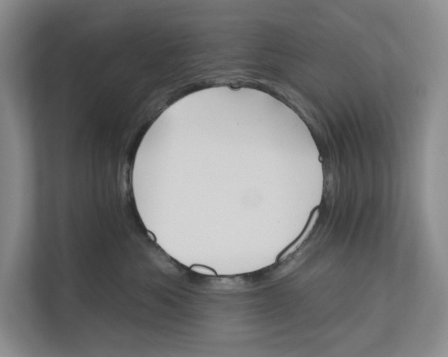 X0000110740525200906290950