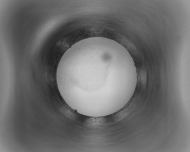 X0000110740526200906290950