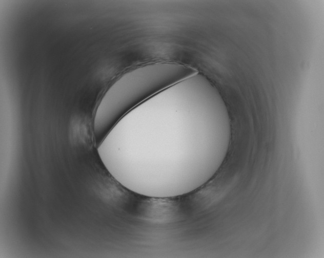 X0000110740528200906290950