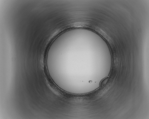 X0000110740530200906290950