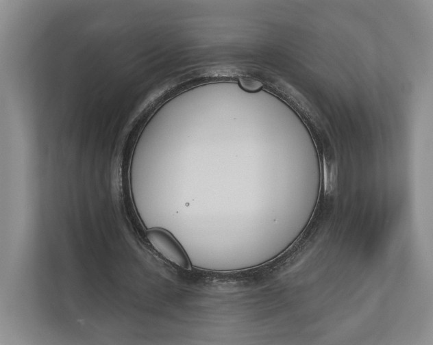 X0000110740531200906290950