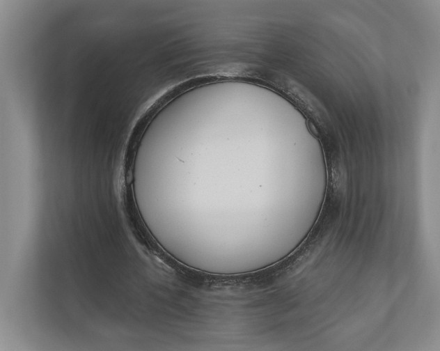 X0000110740532200906290950