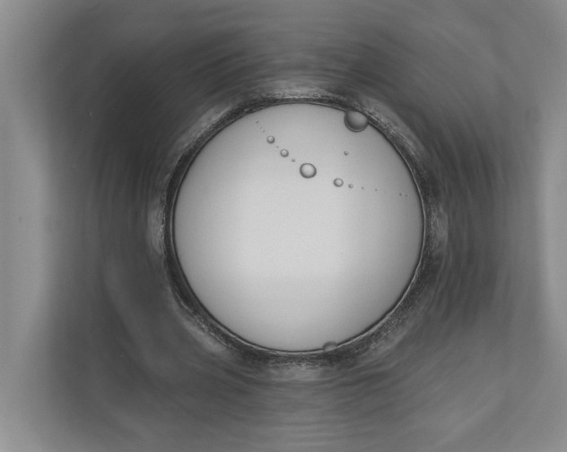 X0000110740533200906290950