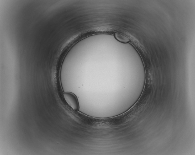 X0000110740535200906290950