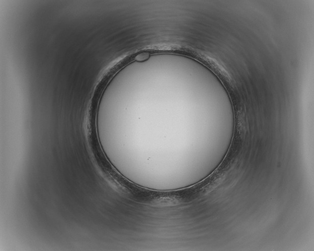 X0000110740536200906290950