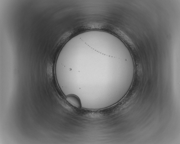 X0000110740537200906290950