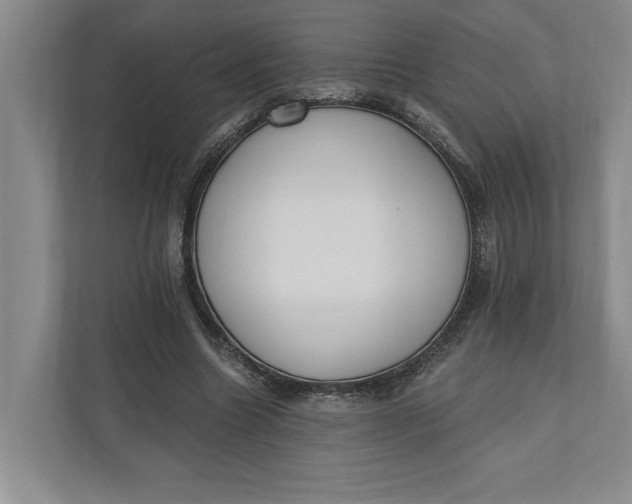 X0000110740538200906290950