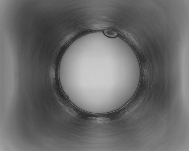 X0000110740539200906290950