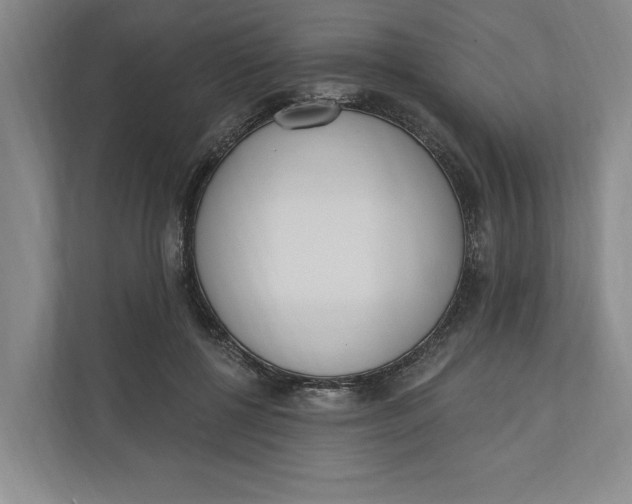 X0000110740552200906290950