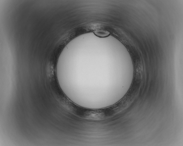 X0000110740555200906290950