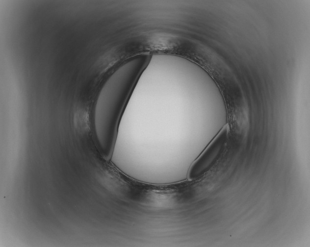 X0000110740556200906290950