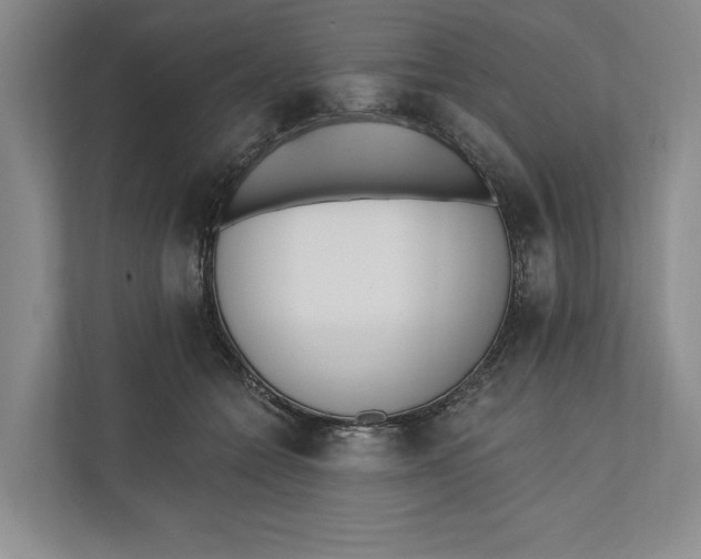 X0000110740558200906290950