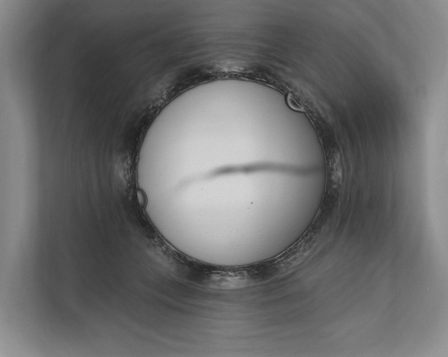 X0000110740559200906290950