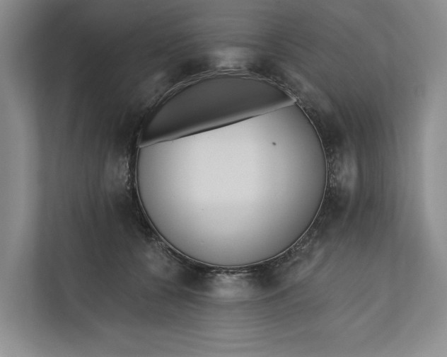 X0000110740560200906290950