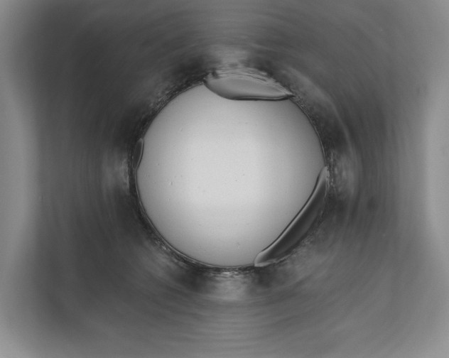 X0000110740562200906290950