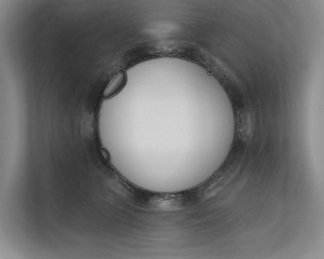 X0000110740563200906290950