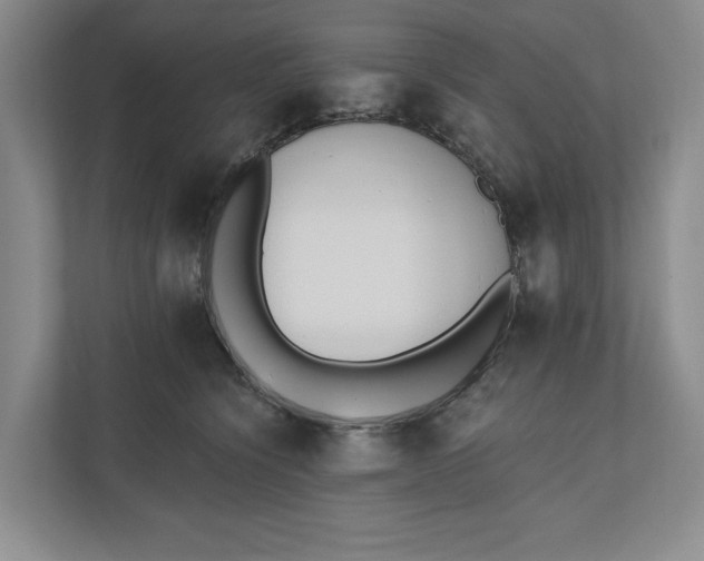 X0000110740564200906290950