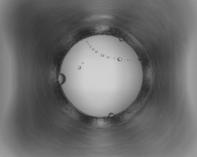 X0000110740565200906290950